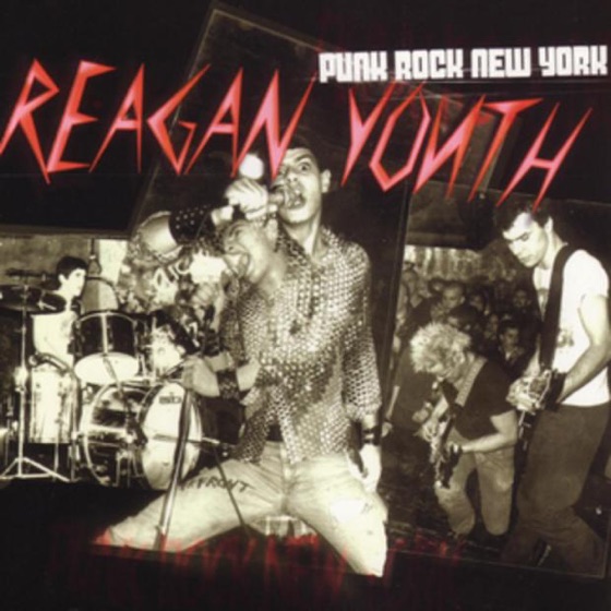 Cover artwork for Down With the New Aryans