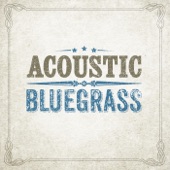 New Grass Revival - White Freight Liner Blues