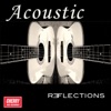 Acoustic Reflections, 2013