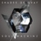 Back to the Future (Peter Horrevorts Remix) - Shades Of Gray lyrics
