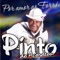 Roendo Unha (feat. Renata Arruda) - Pinto Do Acordeon lyrics