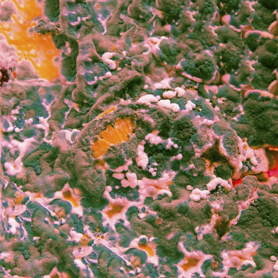 Cover artwork for Cinnamon