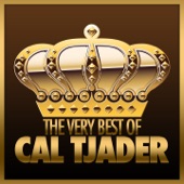 Cal Tjader - My Buddy