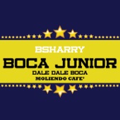 Boca Junior (Club Edit) artwork