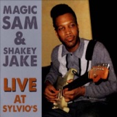 Magic Sam's Boogie (Live) artwork