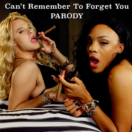 Cover artwork for Can't Remember to Forget You Parody