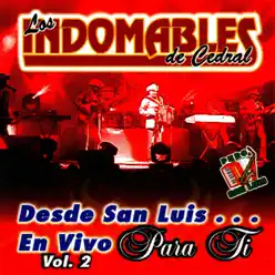 Desde San Luis... En Vivo para Ti, Vol. 2 (En Vivo) - Los Indomables de Cedral Desde San Luis... En Vivo para Ti, Vol. 2 (En Vivo) - Los Indomables de Cedral
