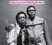 Buddy Guy & Junior Wells Play the Blues (Expanded) artwork