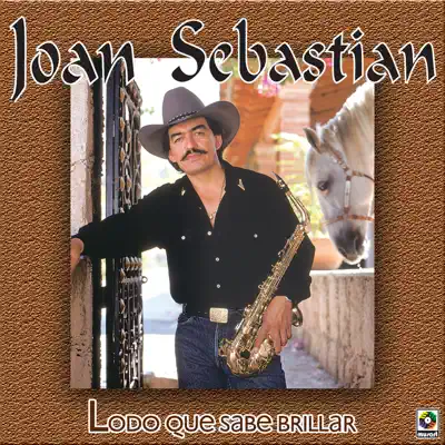 Lodo Que Sabe Brillar - Joan Sebastian