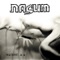 Riot - Nasum lyrics