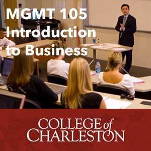 MGMT 105 Introduction to Business cover