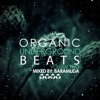 Organic Underground Beats, Vol. 2 (Mixed By Baramuda), 2014