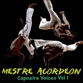Capoeira Voices Vol 1 artwork