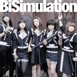 BiSimulation