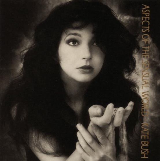 Cover artwork for Ken