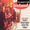 Forever Ireland artwork