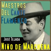 Maestros del Cante Flamenco artwork