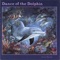 Dance of the Dolphin - David Blonski lyrics