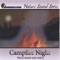 Campfire Night (Nature Sounds Only Version) - Nature Sound Series lyrics