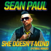 Sean Paul - She Doesn't Mind (Pitbull Remix)