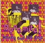 Honey & The Bees - Love Addict