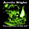 Perception Of Life - Arctic Night lyrics