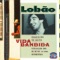 Vida Bandida - Lobão lyrics