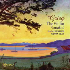 Violin Sonata No. 3 in C Minor, Op. 45: I. Allegro molto ed appassionato Song Lyrics