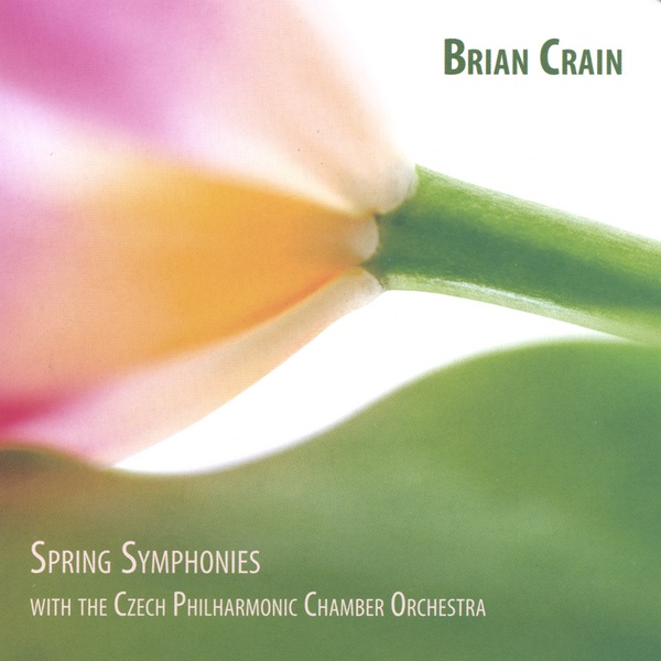 Brian Crain - Largo Maestoso