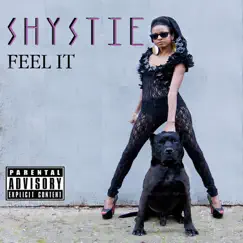 Feel It - Single by Shystie album reviews, ratings, credits