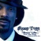 Boss' Life - Snoop Dogg featuring Nate Dogg lyrics
