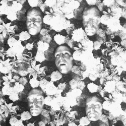 The Legendary Pink Dots - Curious Guy