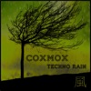 Techno Rain