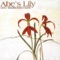 Palm Sunday/Lolli's Rug - Abe's Lily lyrics