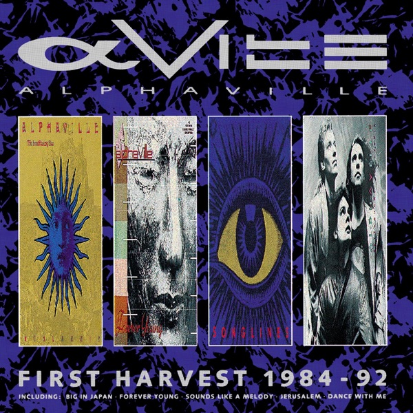 Forever Young by Alphaville on NetFM