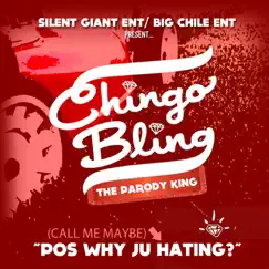 Call Me Maybe (Pos Why Ju Hating) - Single by Chingo Bling album reviews, ratings, credits