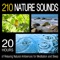 Water Washing Over Pebbles on the Shore - Pro Sound Effects Library lyrics