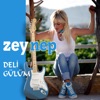 Deli Gülüm - Single