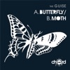 Butterfly / Moth - Single