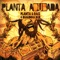 Eu Também Faço Meu Jogo (Adubada) - Planta & Raiz lyrics
