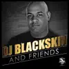 DJ Blackskin & Friends album lyrics, reviews, download