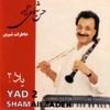 Hassan Shamaiezadeh - Yad 2.8