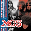 The Big Bang! - Best of the MC5 artwork