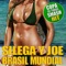 Brasil Mundial (Brasil 2014 Copa Mundial Remix) artwork