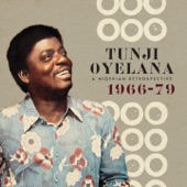 A Nigerian Retrospective 1966-79 artwork