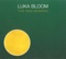 Your Little Wings - Luka Bloom lyrics