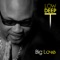 Big Love (Remixes)
