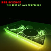 Dub Science: The Best of Mad Professor artwork