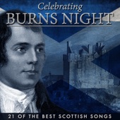 Celebrating Burns Night - 21 Of the Best Scottish Songs artwork