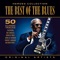 Blue Guitar - Earl Hooker lyrics